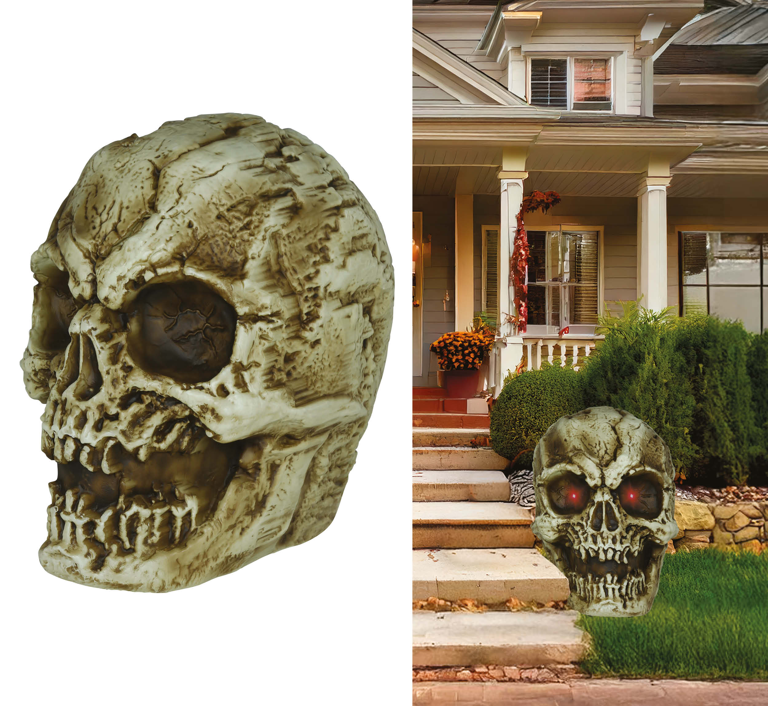 GP29057 – Skelett Schädel Halloween Deko – Farbe: Beige