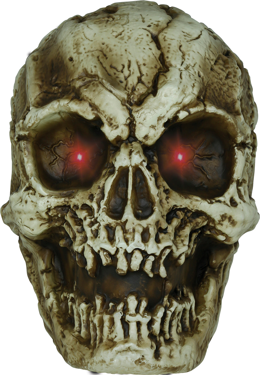 GP29057 – Skelett Schädel Halloween Deko – Farbe: Beige