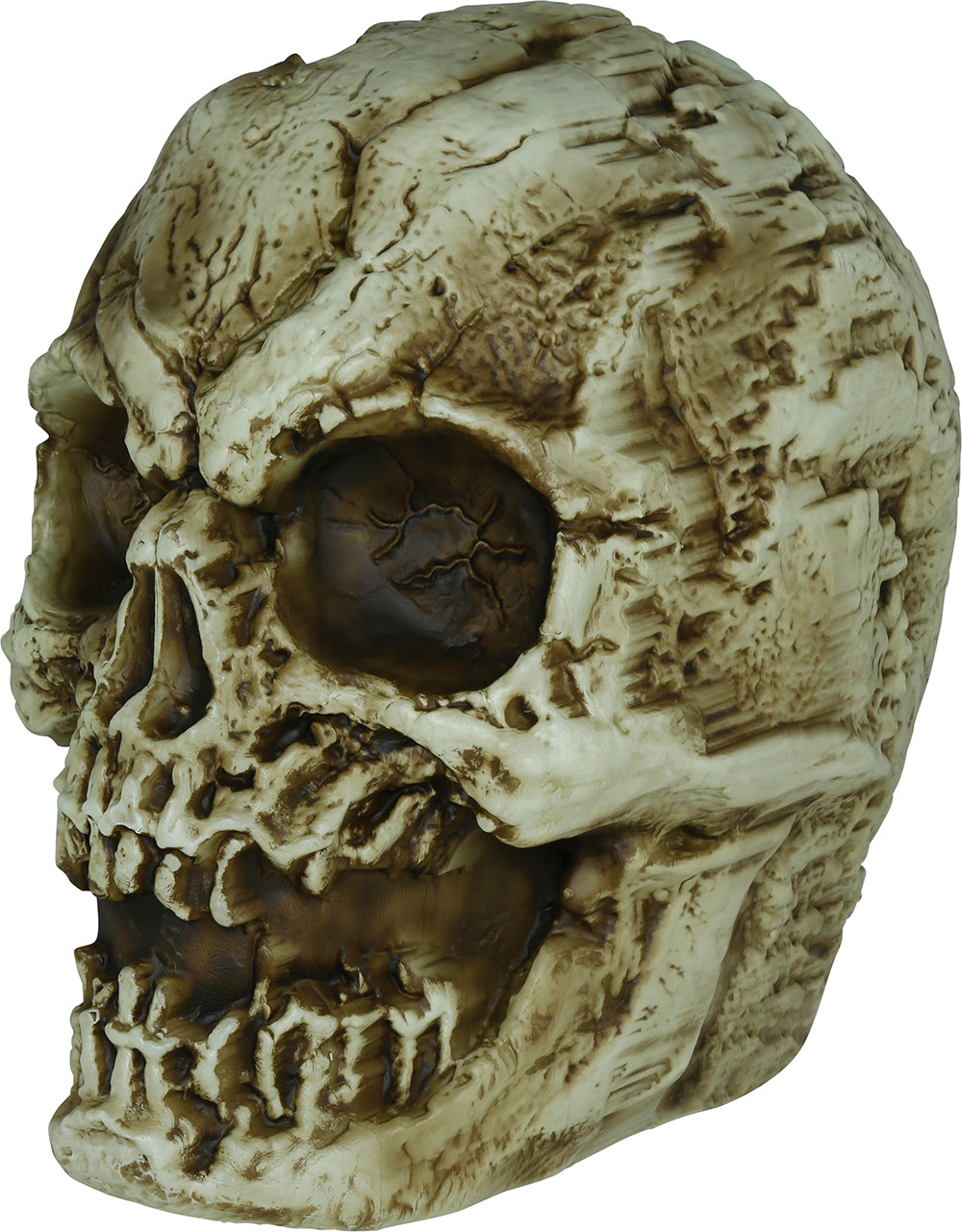 GP29057 – Skelett Schädel Halloween Deko – Farbe: Beige