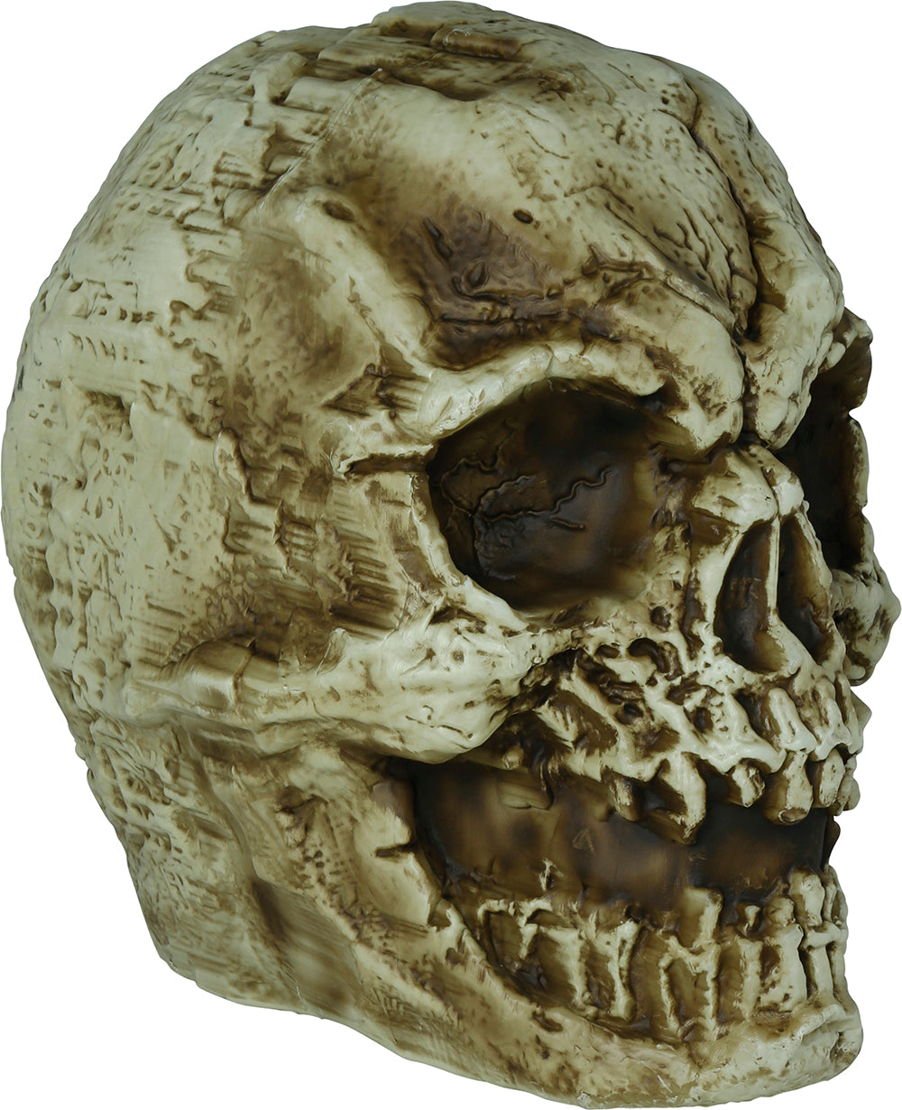 GP29057 – Skelett Schädel Halloween Deko – Farbe: Beige