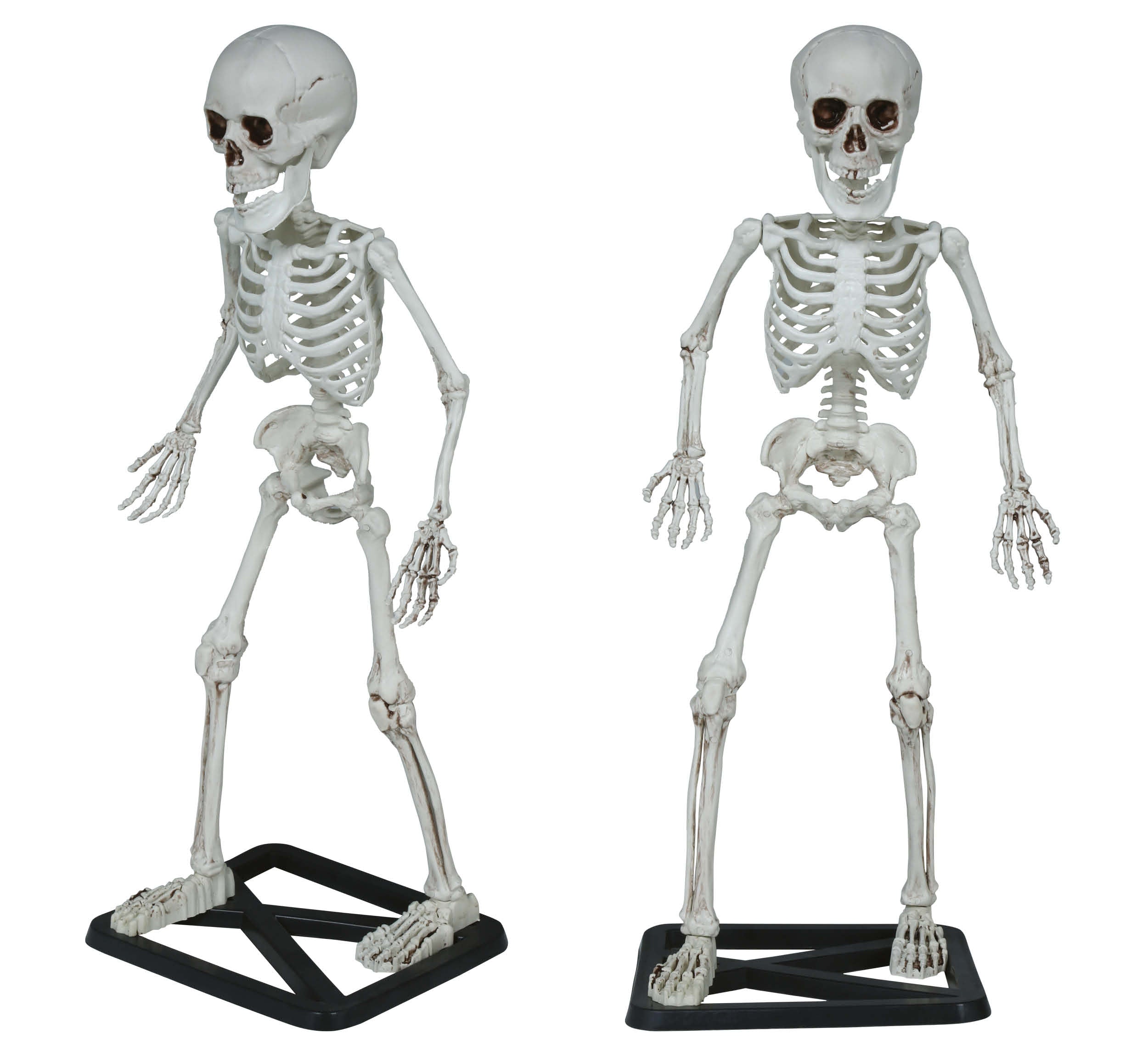 GP29058 – Skelett Halloween Deko Gruseliges Totenschädel – Farbe: Beige