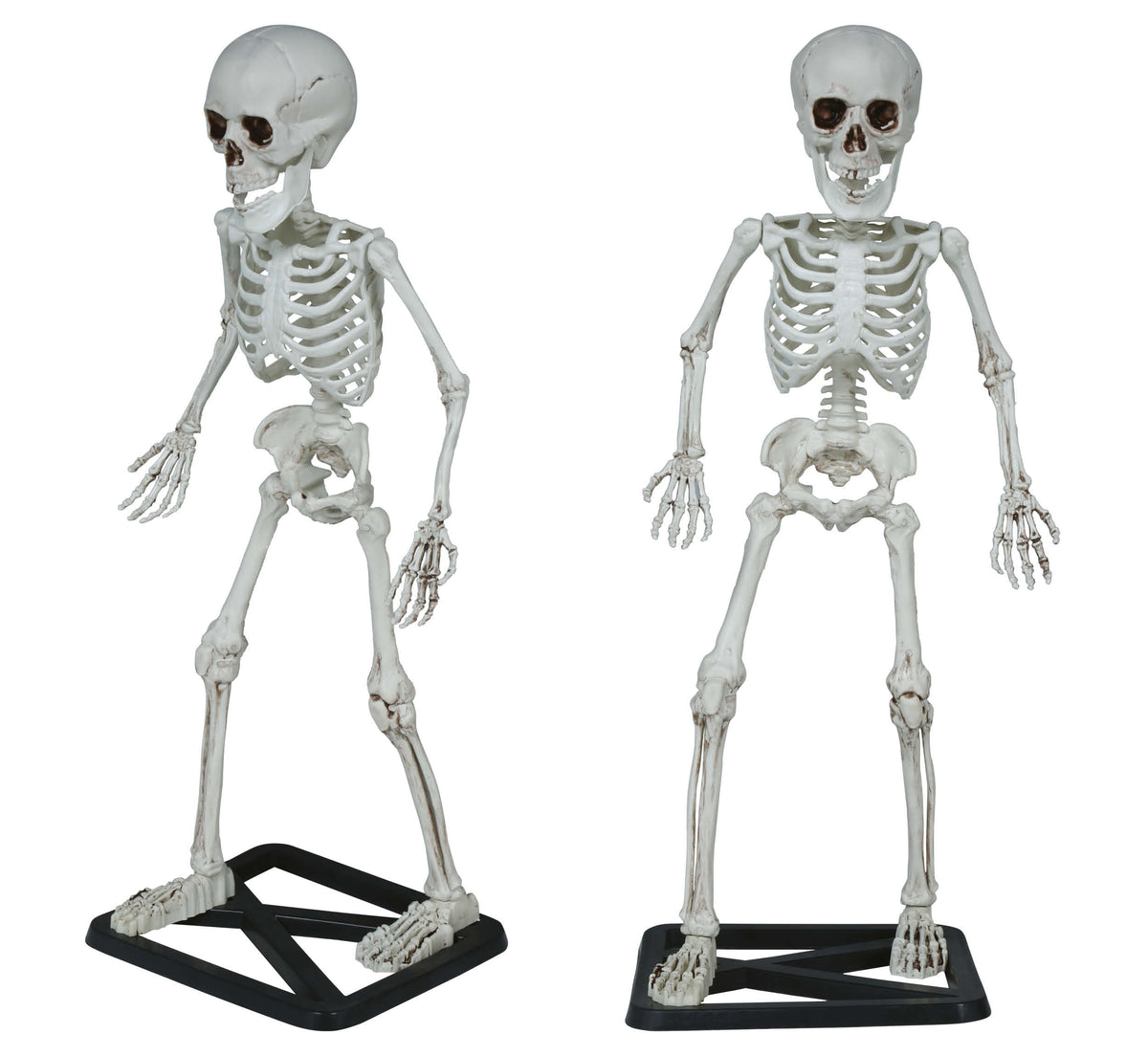 GP29058 – Skelett Halloween Deko Gruseliges Totenschädel – Farbe: Beige