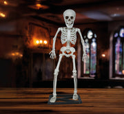 Skelett Halloween Deko Gruseliges Totenschädel, Bild 3