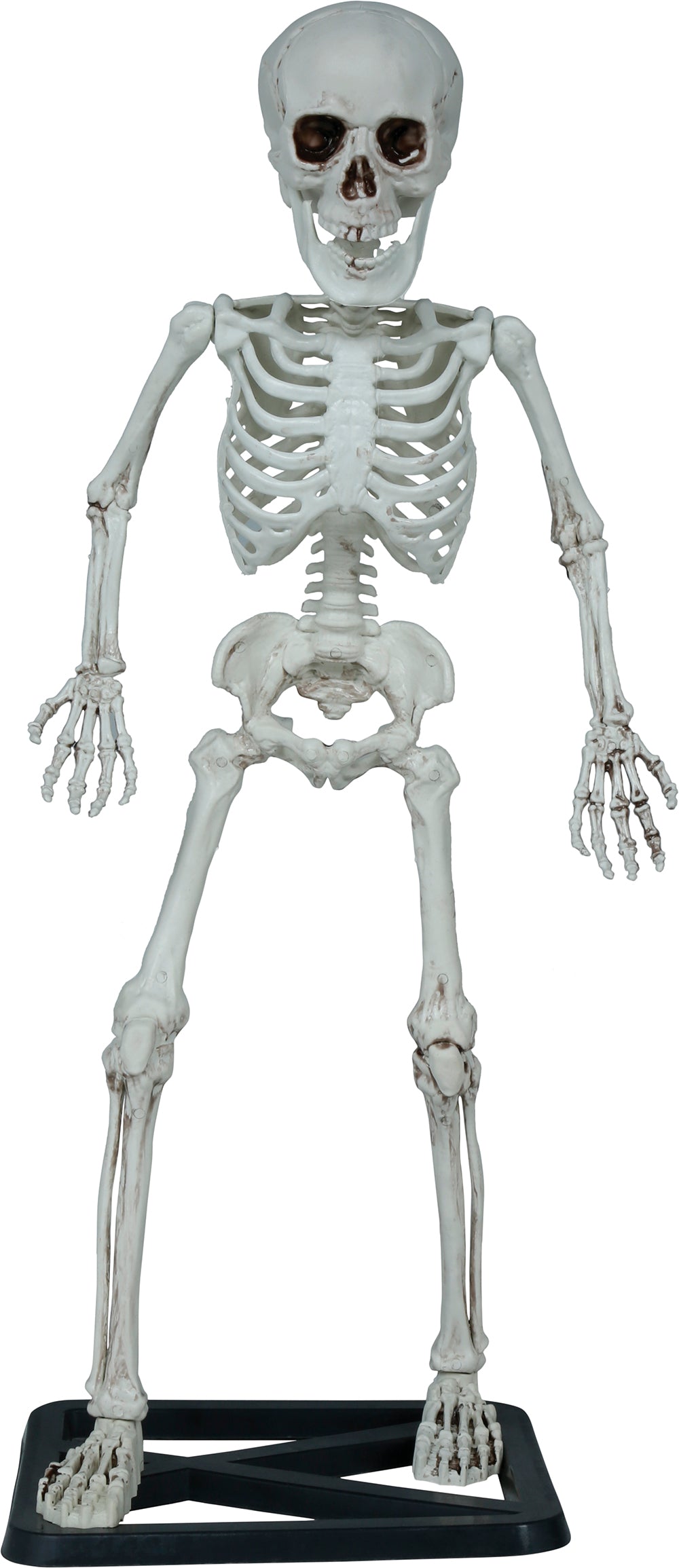 GP29058 – Skelett Halloween Deko Gruseliges Totenschädel – Farbe: Beige