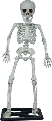 Skelett Halloween Deko Gruseliges Totenschädel, Bild 1