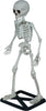 GP29058 – Skelett Halloween Deko Gruseliges Totenschädel – Farbe: Beige