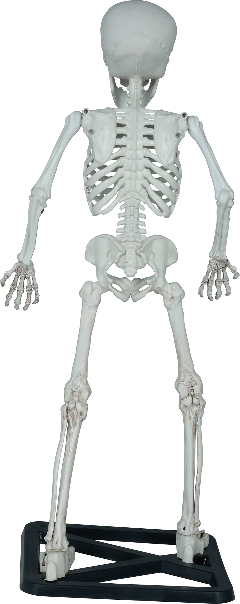 GP29058 – Skelett Halloween Deko Gruseliges Totenschädel – Farbe: Beige