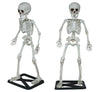 GP29058 – Skelett Halloween Deko Gruseliges Totenschädel – Farbe: Beige