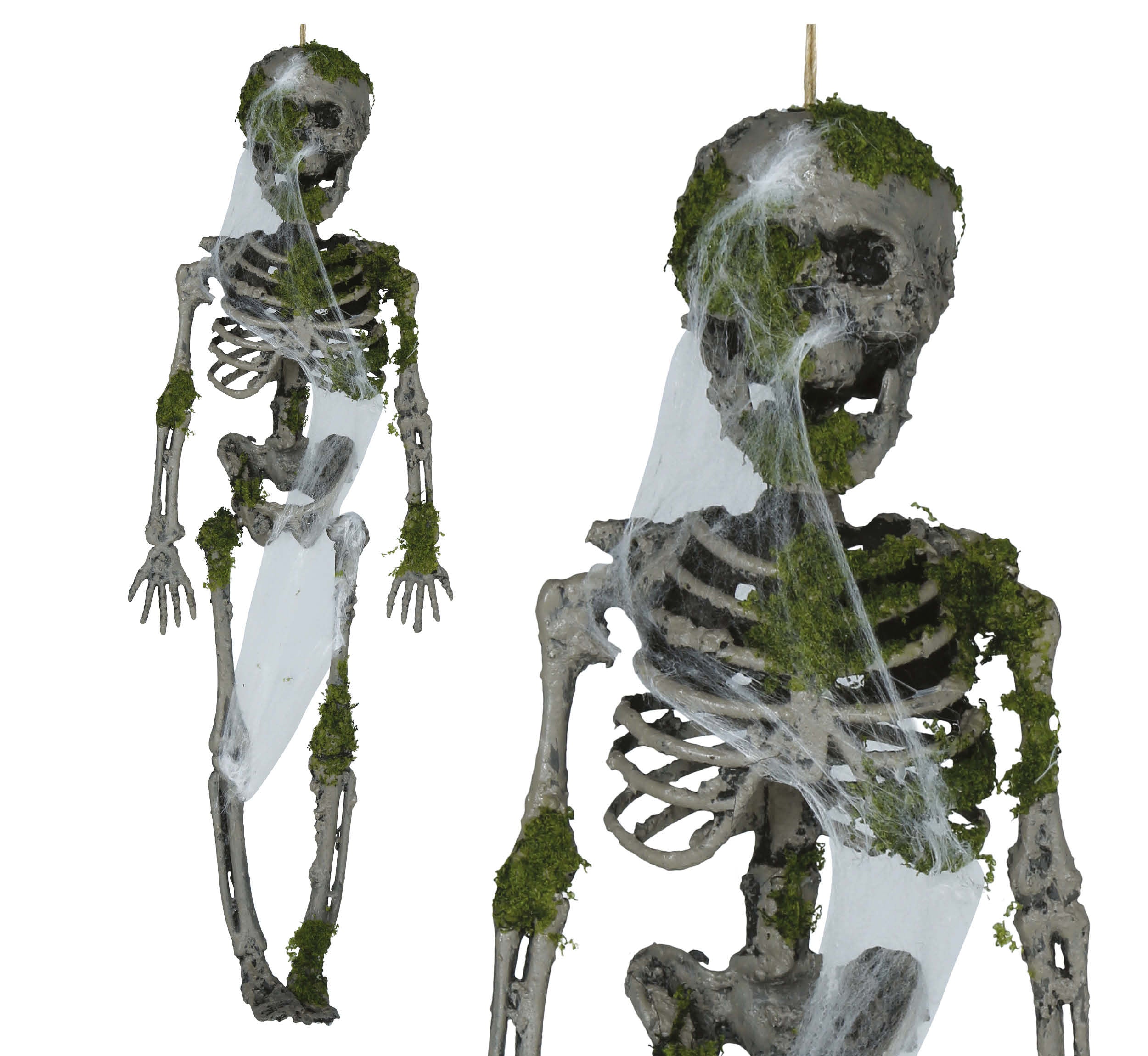 GP29061 – Skelett Deko Moosig Antikes Design – Farbe: Grau