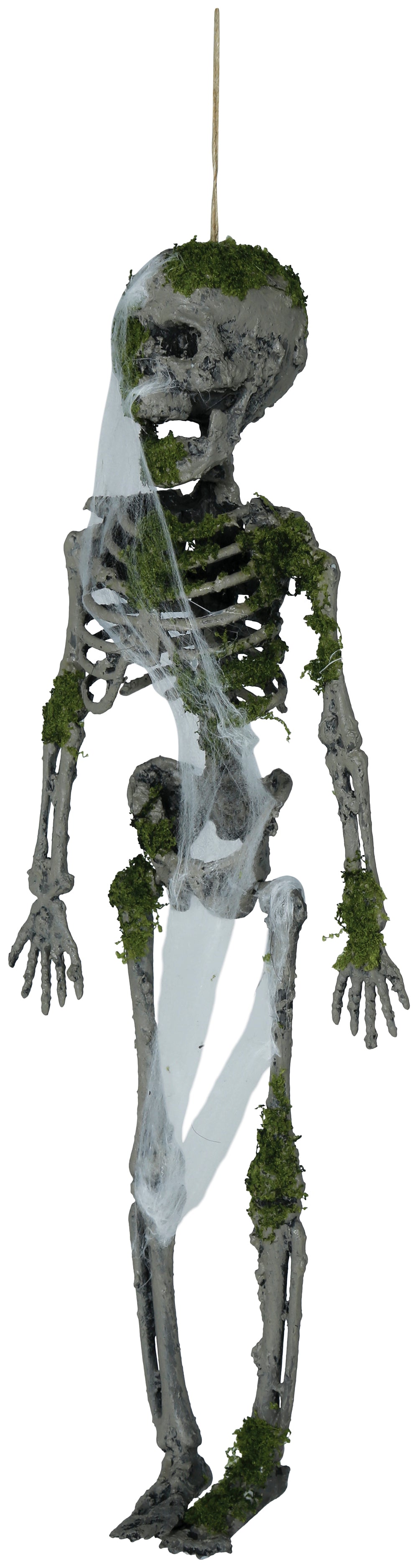 GP29061 – Skelett Deko Moosig Antikes Design – Farbe: Grau