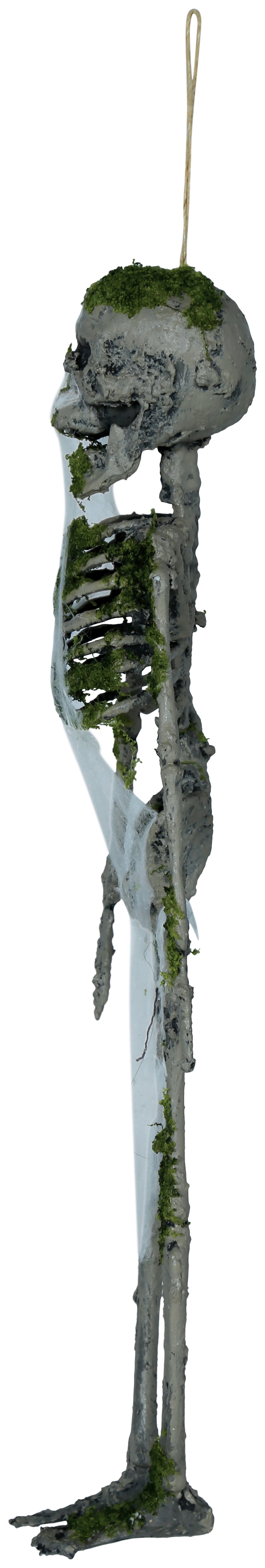 GP29061 – Skelett Deko Moosig Antikes Design – Farbe: Grau