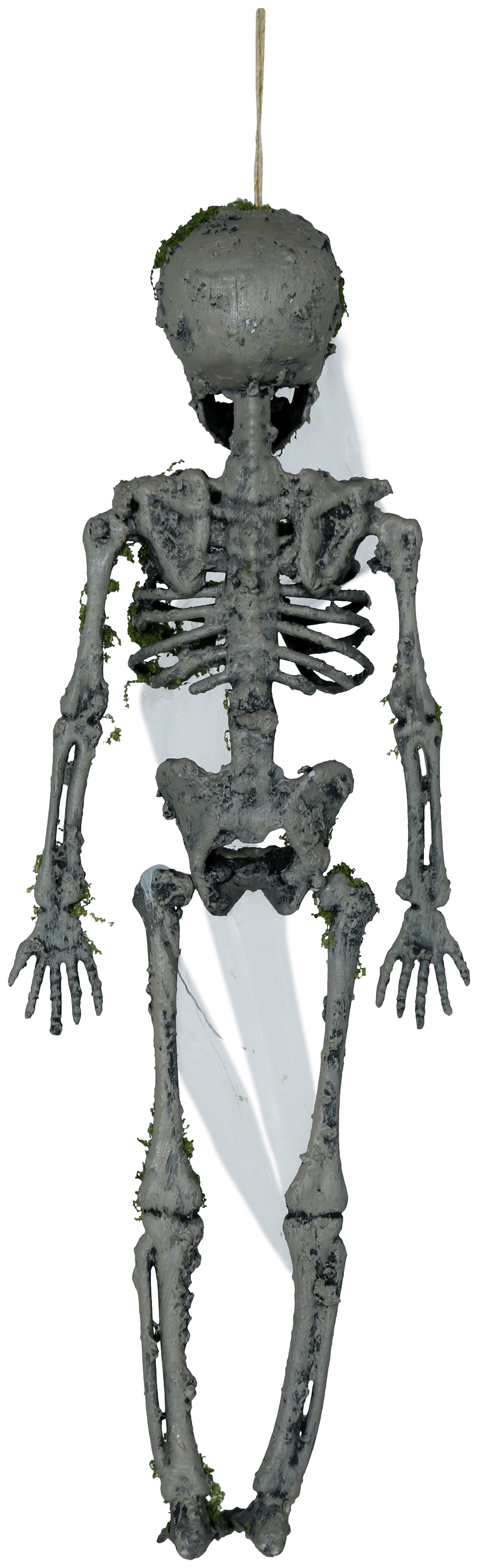 GP29061 – Skelett Deko Moosig Antikes Design – Farbe: Grau