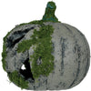 GP29072 – Halloween Kürbis Moosig Gesicht Garten – Farbe: Grau / GrÜn