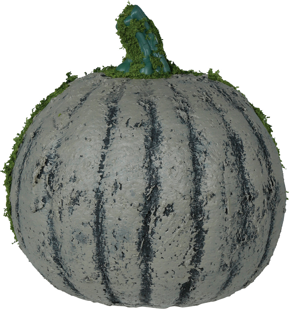 GP29072 – Halloween Kürbis Moosig Gesicht Garten – Farbe: Grau / GrÜn