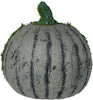 GP29072 – Halloween Kürbis Moosig Gesicht Garten – Farbe: Grau / GrÜn