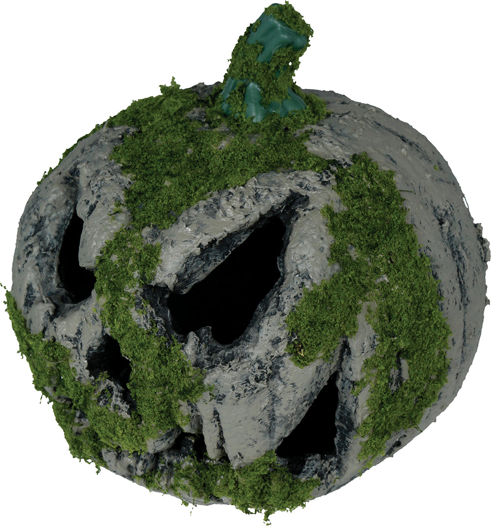 GP29072 – Halloween Kürbis Moosig Gesicht Garten – Farbe: Grau / GrÜn