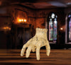 GP29082 – Halloween Animierte Gruselhand Bewegliche – Farbe: Braun