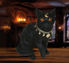 GP29086 – Ägyptische Mystik Katze Halloween – Farbe: Schwarz