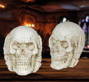 Skelett Totenkopf Halloween Dekoration, Bild 2