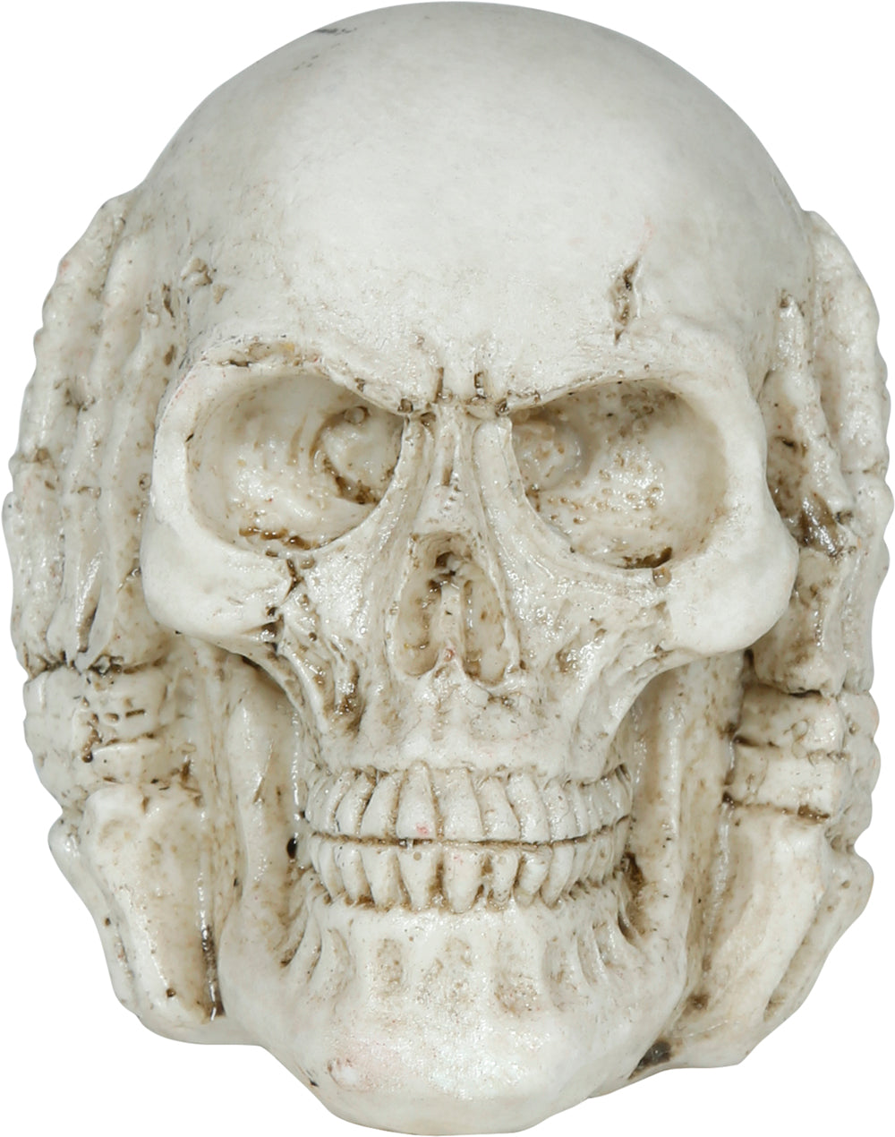 GP29092 – Skelett Totenkopf Halloween Dekoration – Farbe: Beige