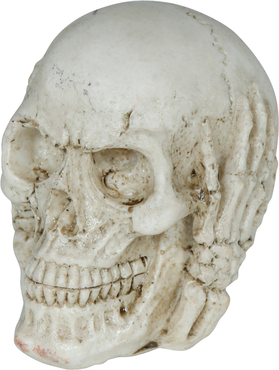 Skelett Totenkopf Halloween Dekoration