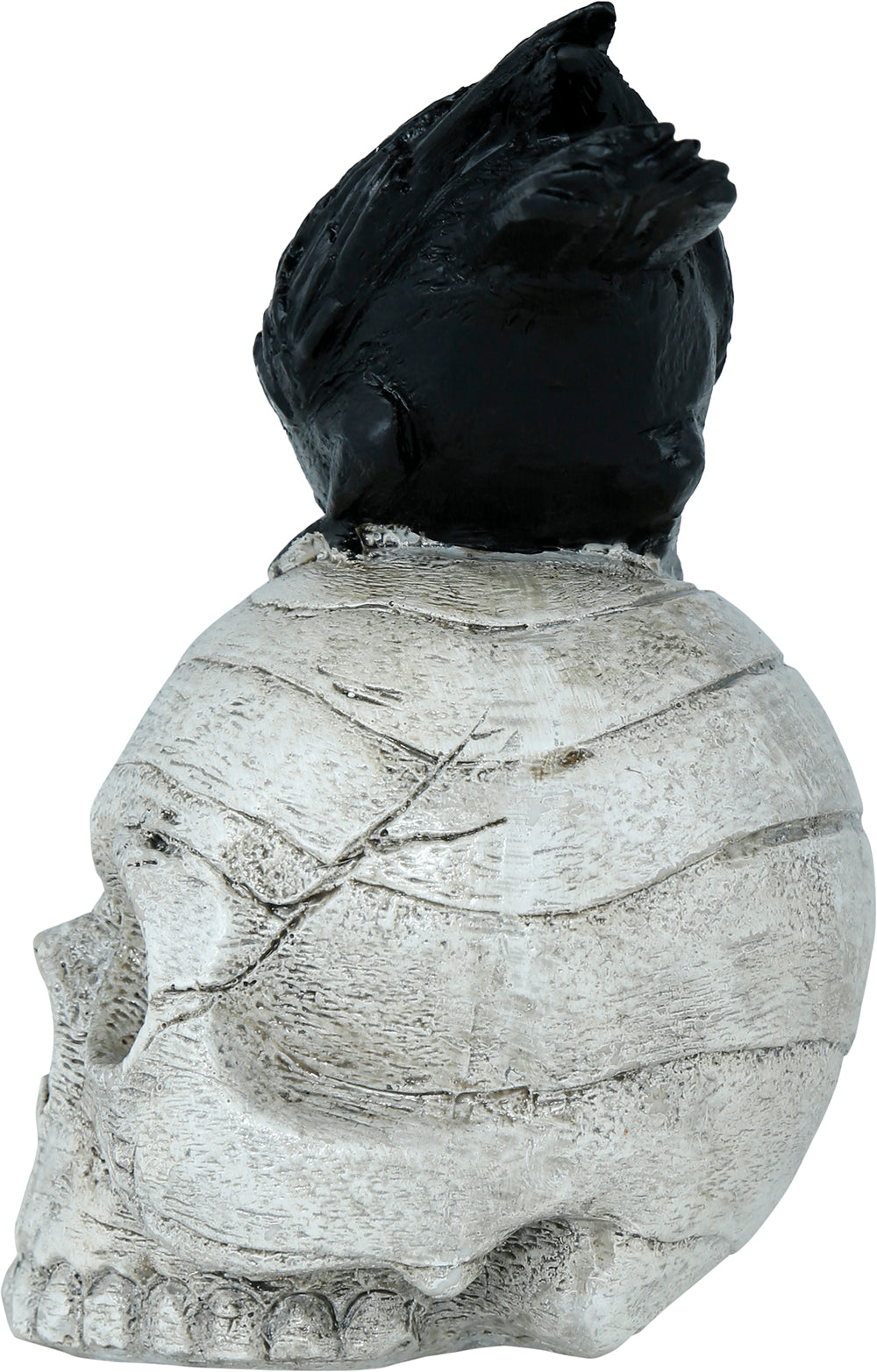 GP29093 – Skelett Dekoration Rabe Totenschädel – Farbe: Beige / Schwarz