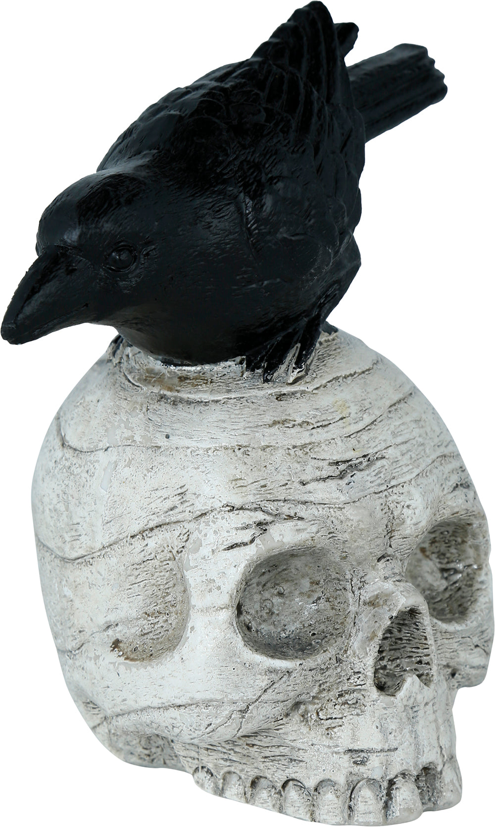 GP29093 – Skelett Dekoration Rabe Totenschädel – Farbe: Beige / Schwarz