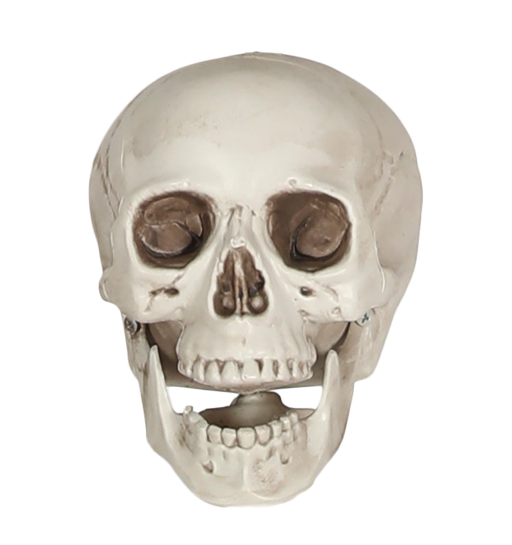 GP29158 – Skelett Totenschädel Dekoration Halloween – Farbe: Beige