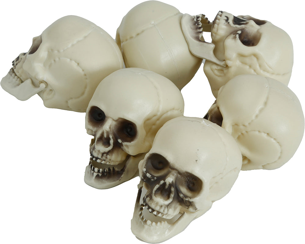 GP29198 – Skelett Totenkopf Dekoration Halloween – Farbe: Beige