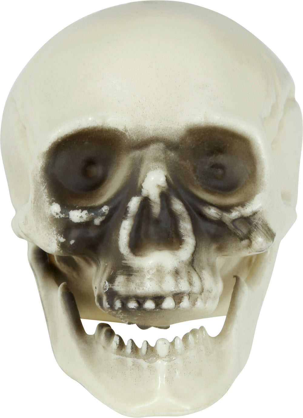 GP29198 – Skelett Totenkopf Dekoration Halloween – Farbe: Beige