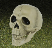 Totenkopf Deko 13 cm Schädel Halloween, Bild 3