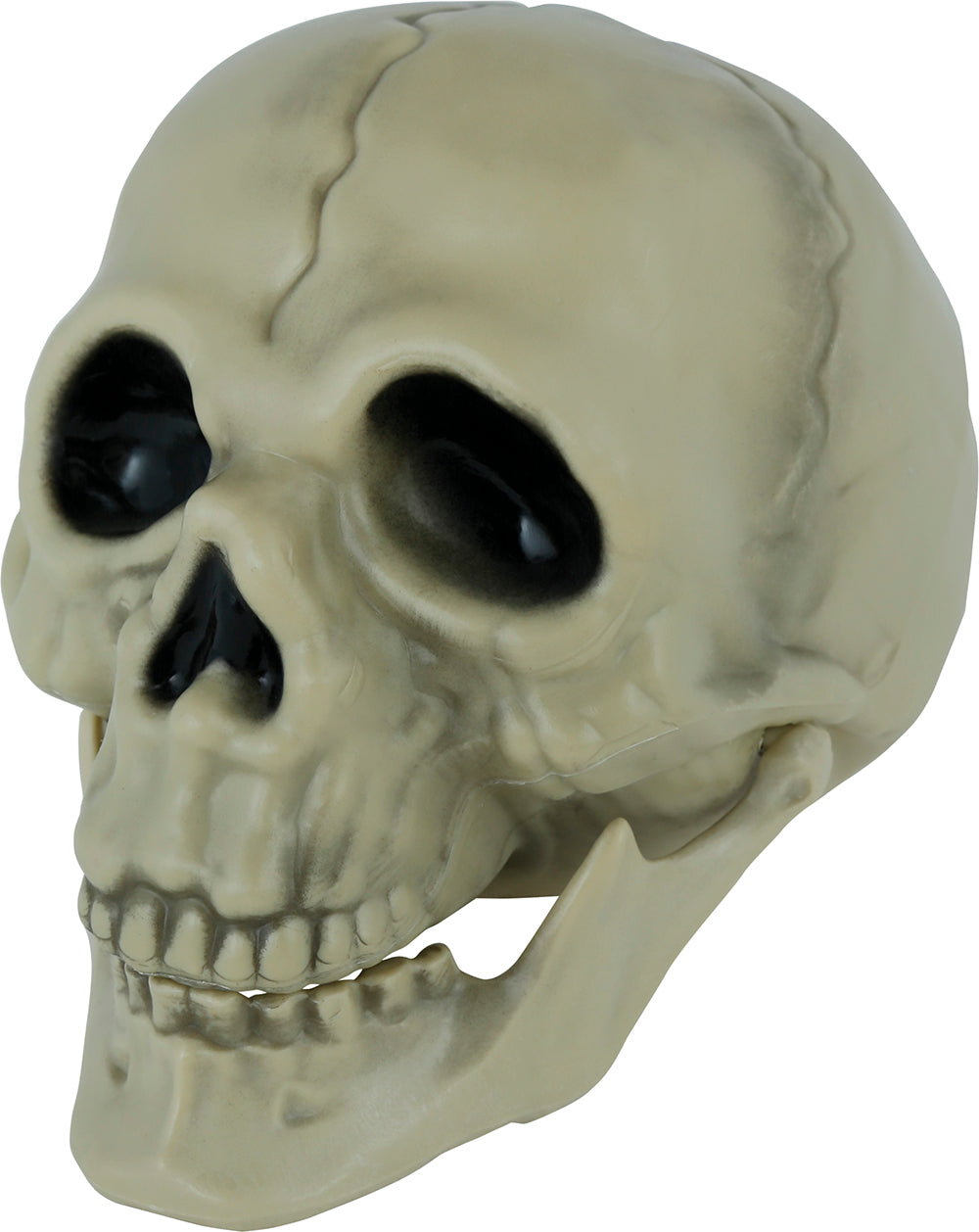 GP29229 – Skelett Tischdekoration Schädel – Farbe: Beige