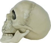 Totenkopf Deko 13 cm Schädel Halloween, Bild 5