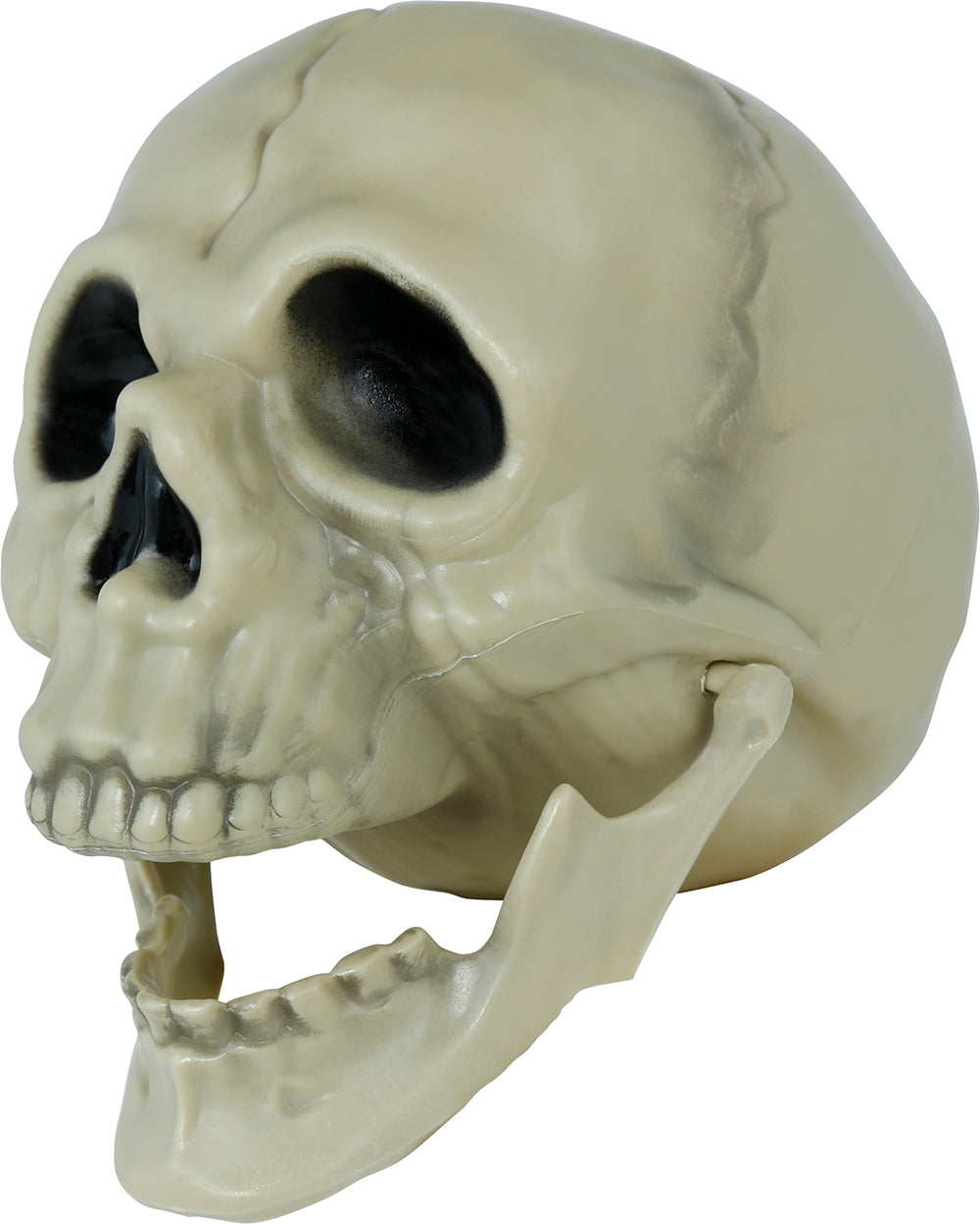 GP29229 – Skelett Tischdekoration Schädel – Farbe: Beige