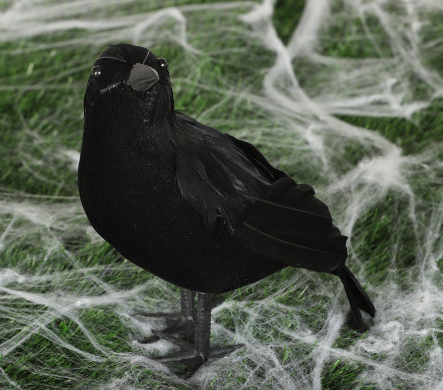 GP26292 – Rabe schwarz 21 cm mit Federn Halloween – Farbe: Schwarz