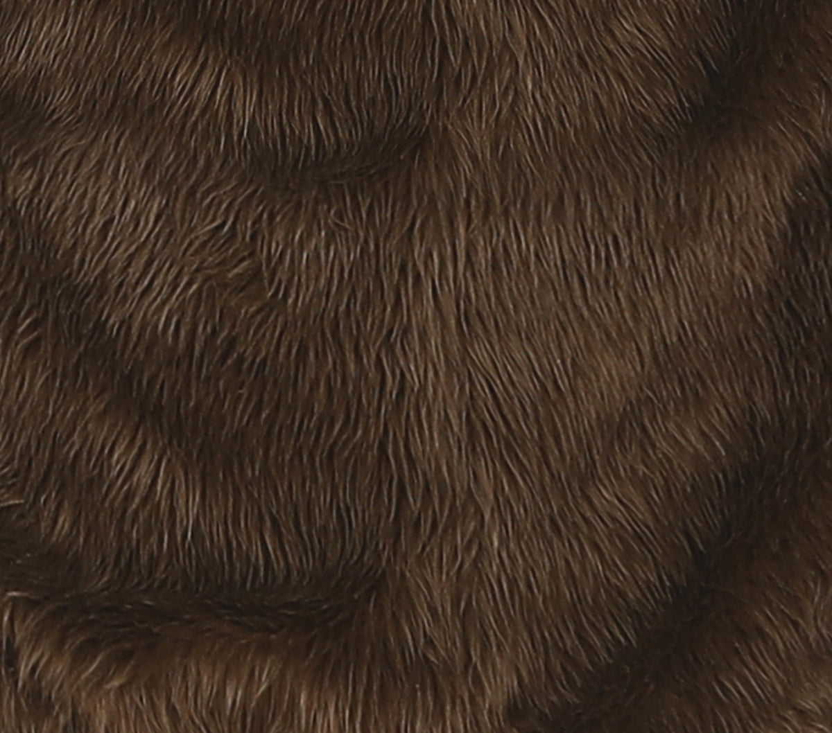 GP77556 – Fledermaus Kostüm Mit Ohren Und Flügeln – Größe: 110/116 – Farbe: Schwarz