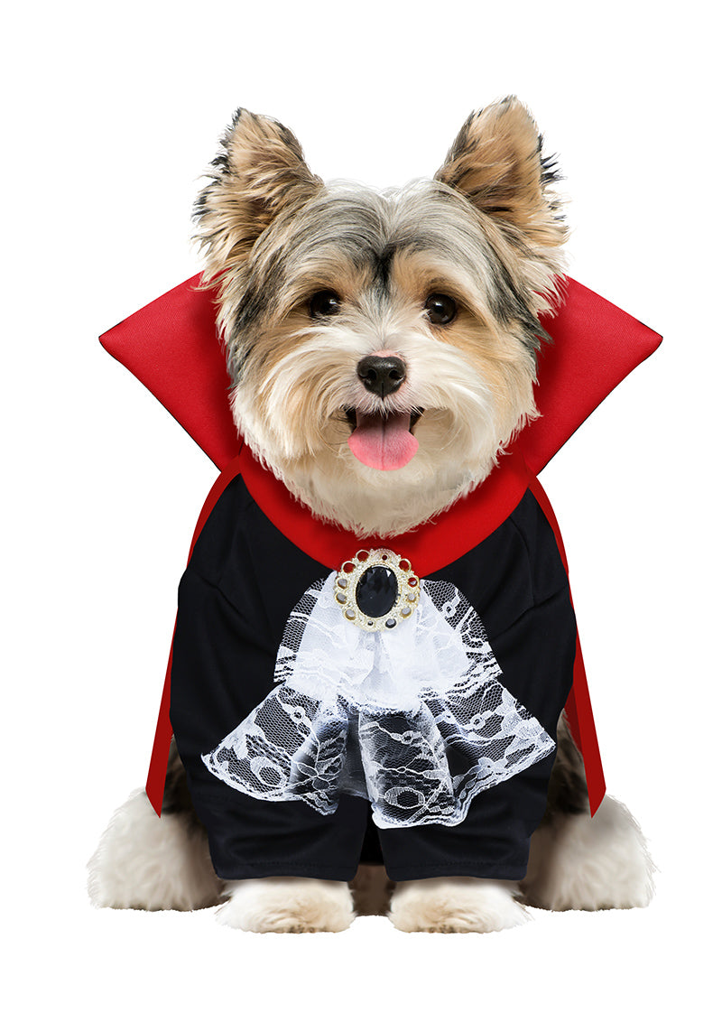 GP76907 – Vampir Kostüm für Hunde mit Umhang – Größe: S - DOG – Farbe: Schwarz, Ansicht 2