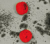 GP83417 – Clown Grusel Spezial Fasching Kostüm – Größe: 140/146 – Farbe: Grau