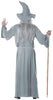 GP84466 – Zauberer Hexer Kostüm Halloween Mittelalter – Größe: 46 - 48 (S) – Farbe: Grau