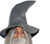 GP84466 – Zauberer Hexer Kostüm Halloween Mittelalter – Größe: 46 - 48 (S) – Farbe: Grau