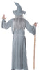 GP84466 – Zauberer Hexer Kostüm Halloween Mittelalter – Größe: 48 - 50 (M) – Farbe: Grau