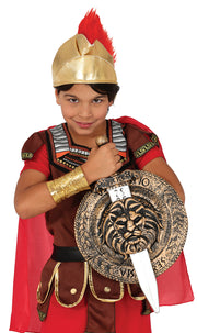 Römer Schild mit Schwert für Jungen, Bild 2