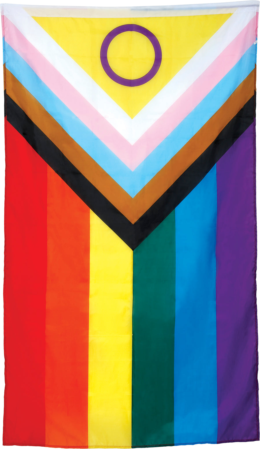 GP18004 – Regenbogenflagge 90 x 150 cm Progress Pride – Farbe: Regenbogen, Ansicht 2