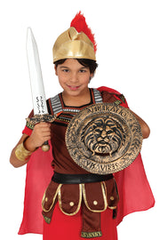 Römer Schild mit Schwert für Jungen, Bild 5