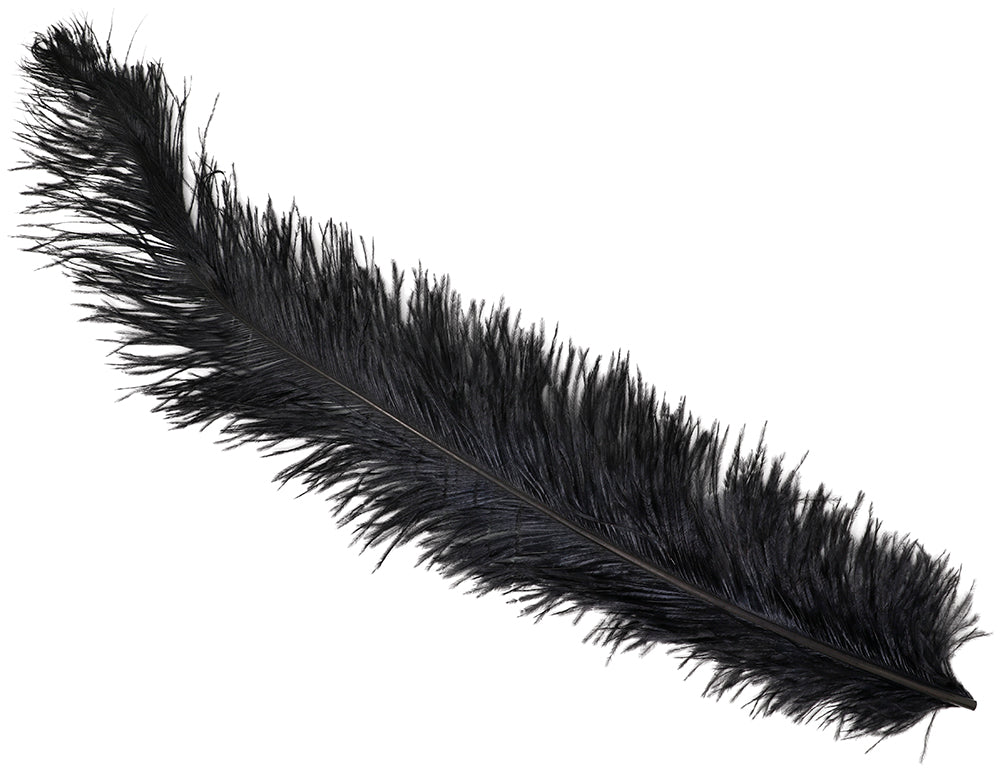 GP17672 – Riesen Straußenfedern für Erwachsene 45 bis 65 cm – Farbe: Schwarz