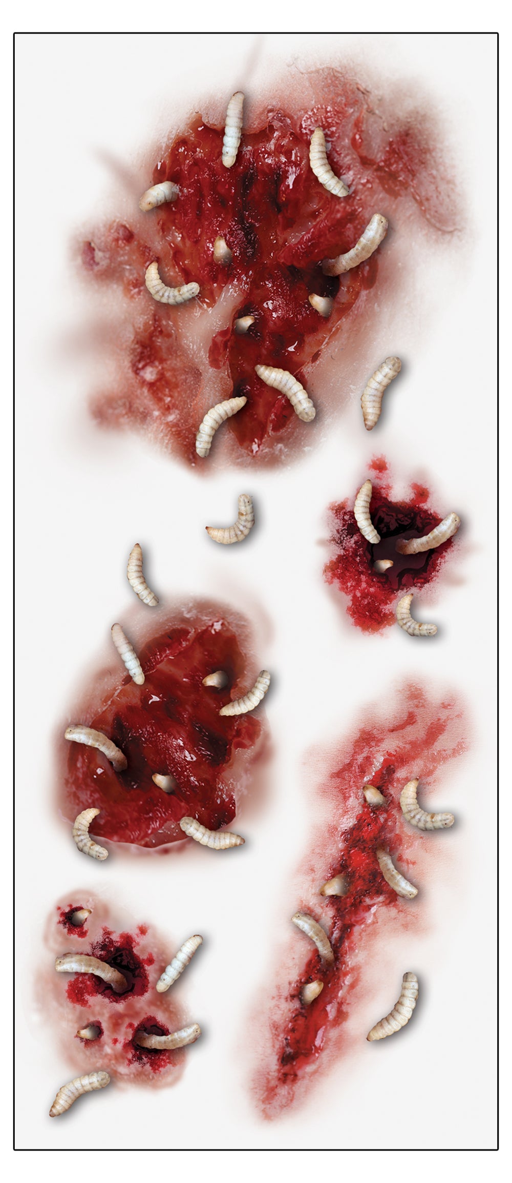 GP15708 – Horror Tattoos für Erwachsene 30 x 13 cm – Farbe: Madenwunden