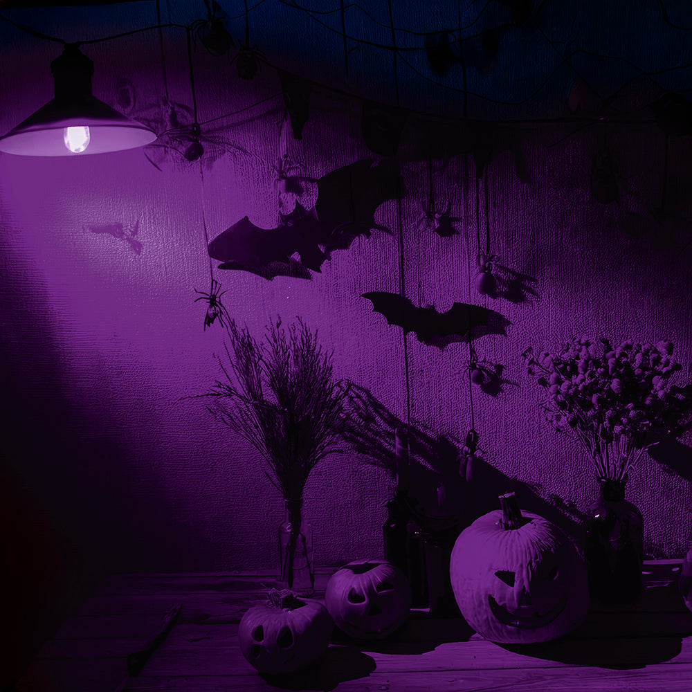 GP26808 – LED Glühbirne 5 Watt farbig Halloween Deko – Farbe: Lila